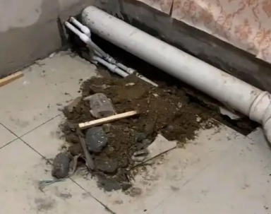 西市卫生间漏水检测哪家好